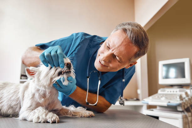 Best Weekend Emergency Dentist in Liberty Lake, WA